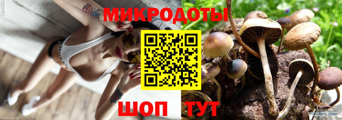 Псилоцибиновые грибы мухоморы Тулун